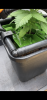 B888A812-21B3-4500-B40C-FD9781B09622.png