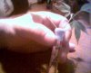 Picture 047.jpg
