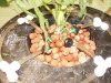DSCN0193.jpg