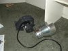 Picture 257.jpg
