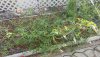 20210930_170741.jpg
