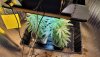Saturday_10_02_2021.jpg