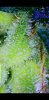 Screenshot_20211003-205316_Gallery.jpg
