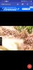Screenshot_20211007-132710_USB Camera.jpg