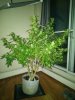 P_20211004_194251.jpg