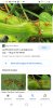 Screenshot_20211009-071002_Google.jpg
