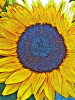 1634084983242.png