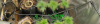 1634265051943.png
