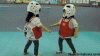 IMG_5049.GIF