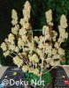 20210927-medic-grow-ez-8-review-toofless-alien-1.jpg