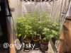 only1sky-medic-grow-fold-8-review-3.jpg