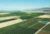 2080c3da873568508d95e0738150b31e-agriculturecoachellavalley.jpg