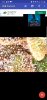 Screenshot_20211013-174456_USB Camera.jpg