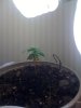 IMG_0175.jpg IMG_0175.jpg