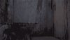 1636977763126.gif
