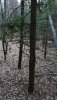 20211116_132857.jpg