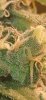 20211127_163515.jpg
