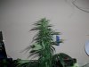 7-23-09 004.jpg