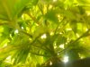 101_0007.jpg