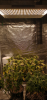 Screenshot_20211202-194530.png