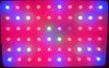 LED lights, 60 5V.jpg