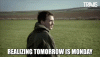 giphy (2).gif