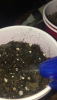 1410DCEF-B41B-4E7A-A3B3-D4D32F0B6C81.png