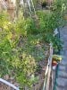 20211211_160304.jpg 20211211_160304.jpg