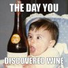 The-Day-You-Discovered-Wine-Funny-Alcohol-Meme-2.jpg