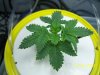 100_1386.jpg