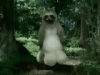 racoon-wiggle.gif