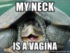 my-neck-is-a-vagina.jpg