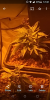 Screenshot_20211224-004213.png