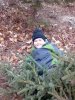 Christmas Tree 2.jpg