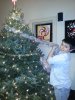 Finished Tree.jpg