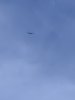 67F45960-D260-4F2D-9ADC-787A89B9179D.jpeg