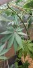 20220101_071137.jpg