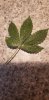 20220102_093631.jpg