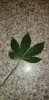 20220102_093622.jpg