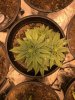 B07B0D99-177E-4961-807C-DF1725818BAB.jpeg