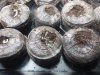 20220106_000421.jpg