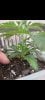 Screenshot_20220112-195134_Gallery.jpg