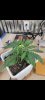 Screenshot_20220112-195138_Gallery.jpg