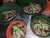 20220114_105347.jpg