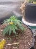 20220115_105452.jpg