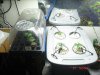 DSC01058.jpg