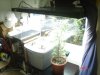 DSC01049.jpg