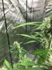 thumbnail_IMG_0226.jpg