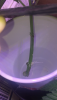 D8653A50-C008-4604-82F5-19A1043371A3.png