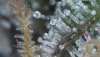 WIN_20220114_15_14_00_Pro.jpg